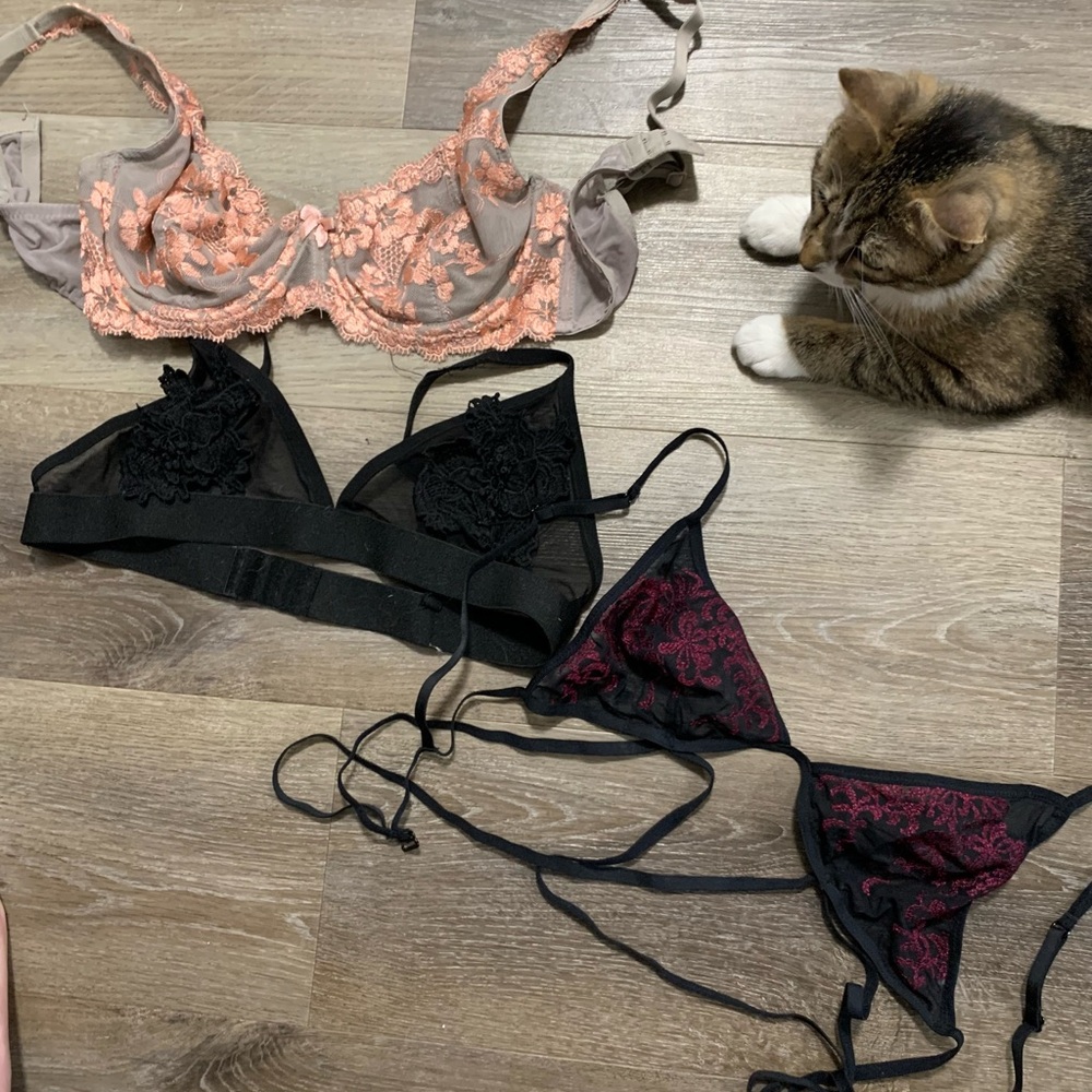 Variety of bralettes (kitten not included)